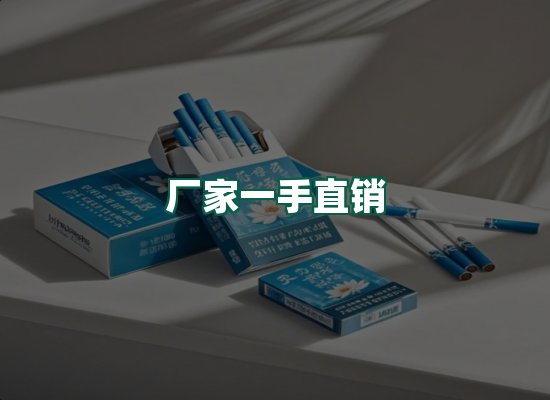 核心优势